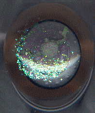 chinese glitter-shaker with alien and craft: view of top (ignore scanner distortion: it's round).