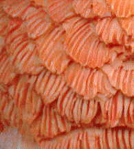 finch A, closeup of feathers