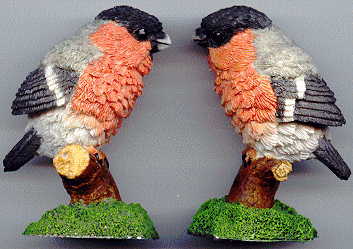 the pair of finches: finch A is on the right