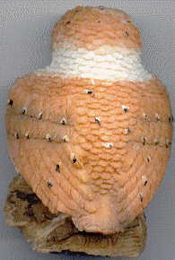 small owl ornament A: back view